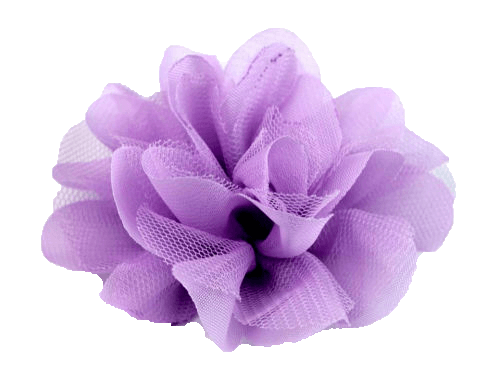 Květ fialová