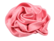 Růže růžová