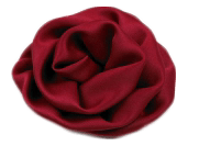 Růže bordó