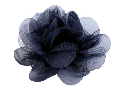 Květ modrá
