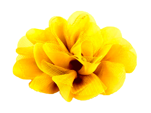 Květ žlutá