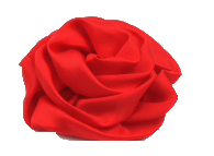 Růže červená